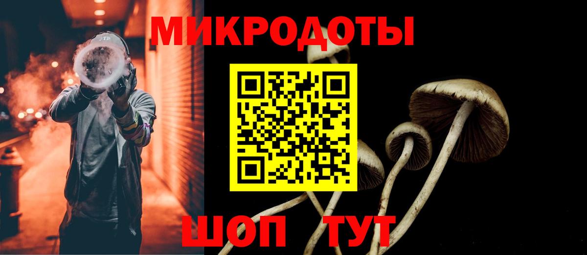 Псилоцибиновые грибы Psilocybine cubensis  Вход с VPN  Острогожск 